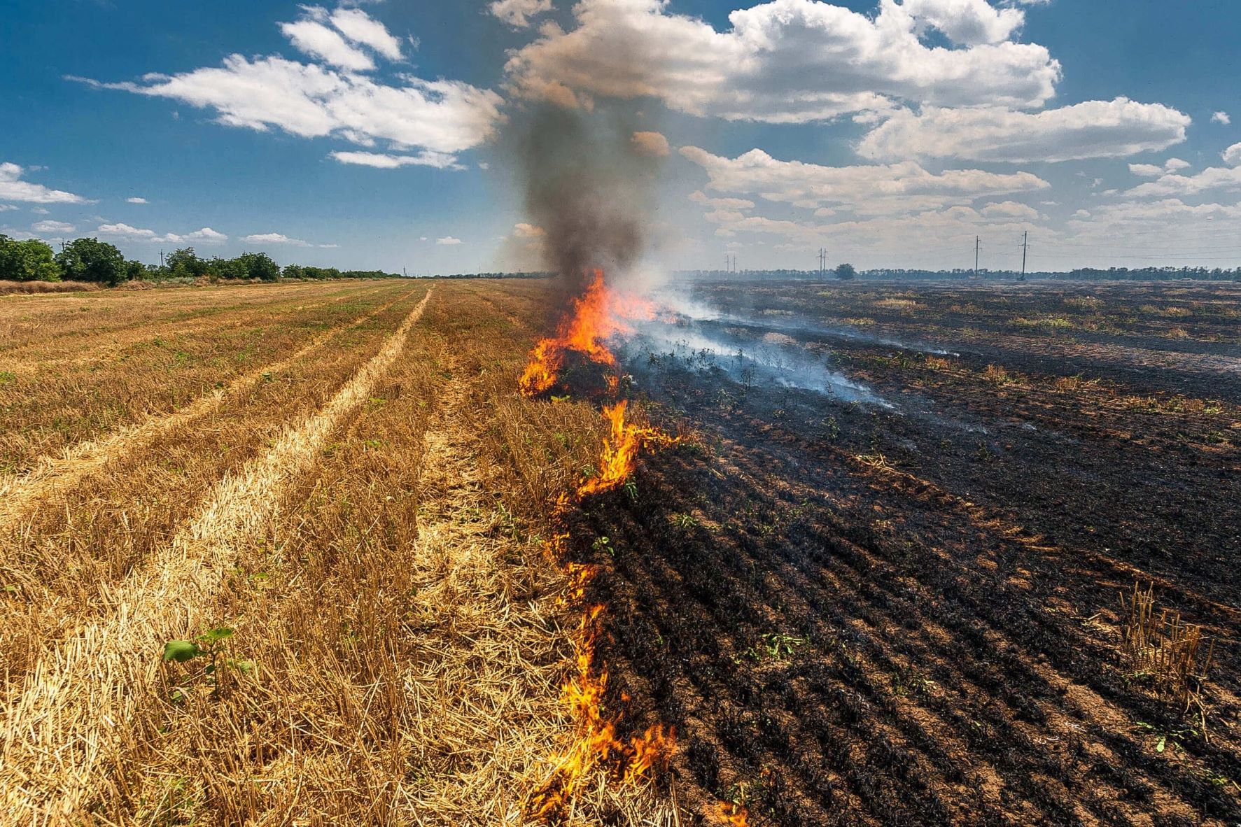 Emergency Management/Burn Permit Banner.jpg